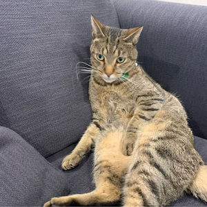 Meet your Posher, Ben